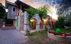 Olive Farm of Datca Guesthouse