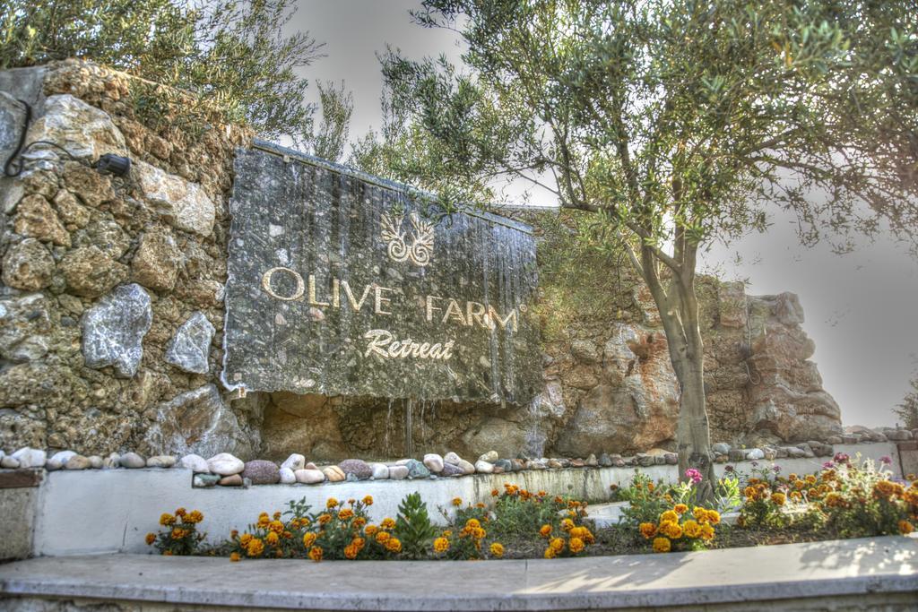 Olive Farm Of Datca Guesthouse (Adults Only) Dış mekan fotoğraf