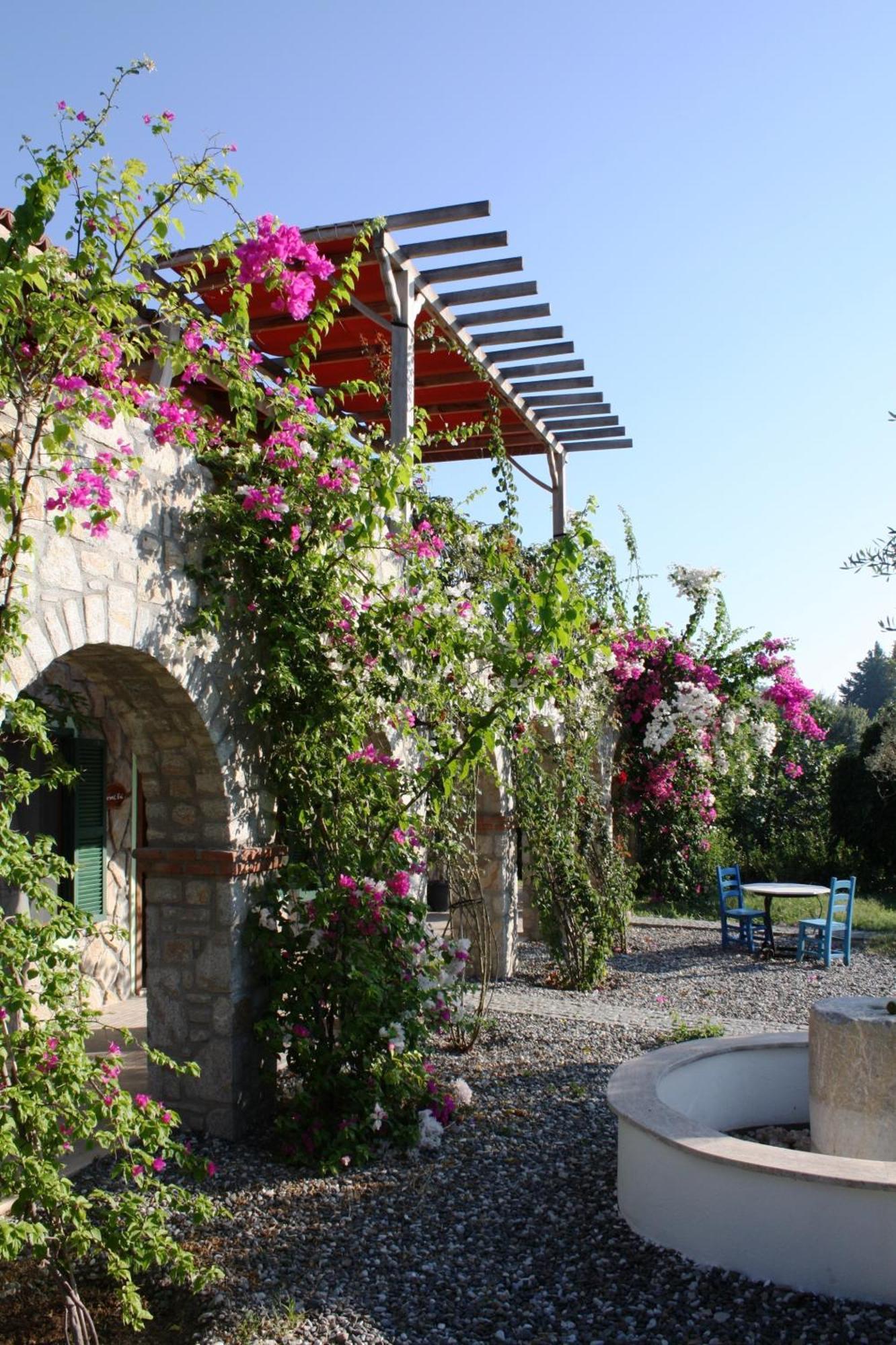 Olive Farm Of Datca Guesthouse (Adults Only) Dış mekan fotoğraf