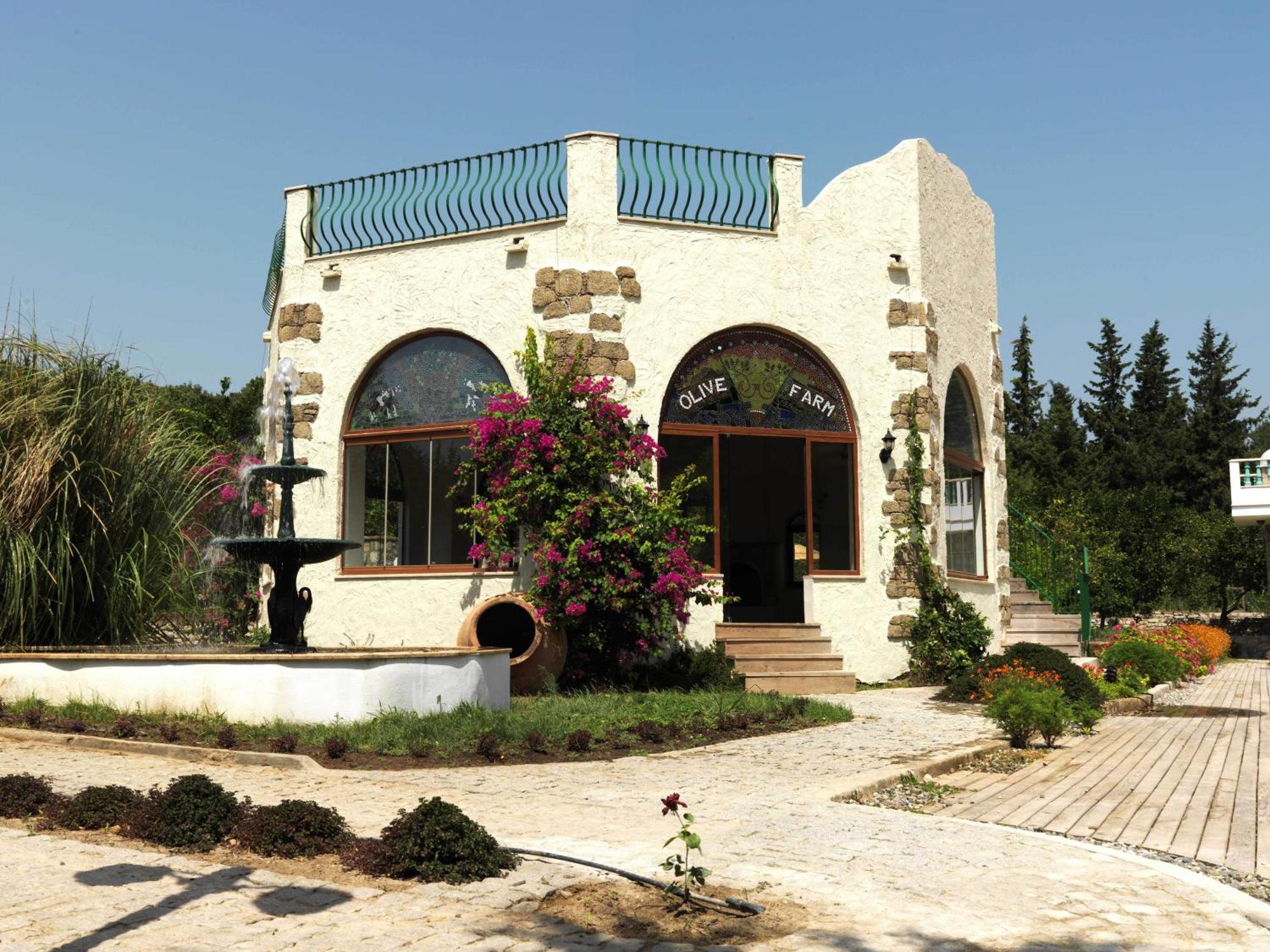 Olive Farm Of Datca Guesthouse (Adults Only) Dış mekan fotoğraf