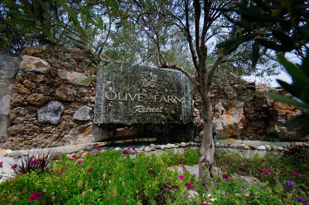 Olive Farm Of Datca Guesthouse (Adults Only) Dış mekan fotoğraf